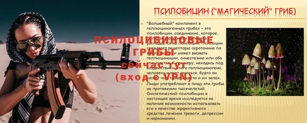 PSILOCYBIN Зерноград
