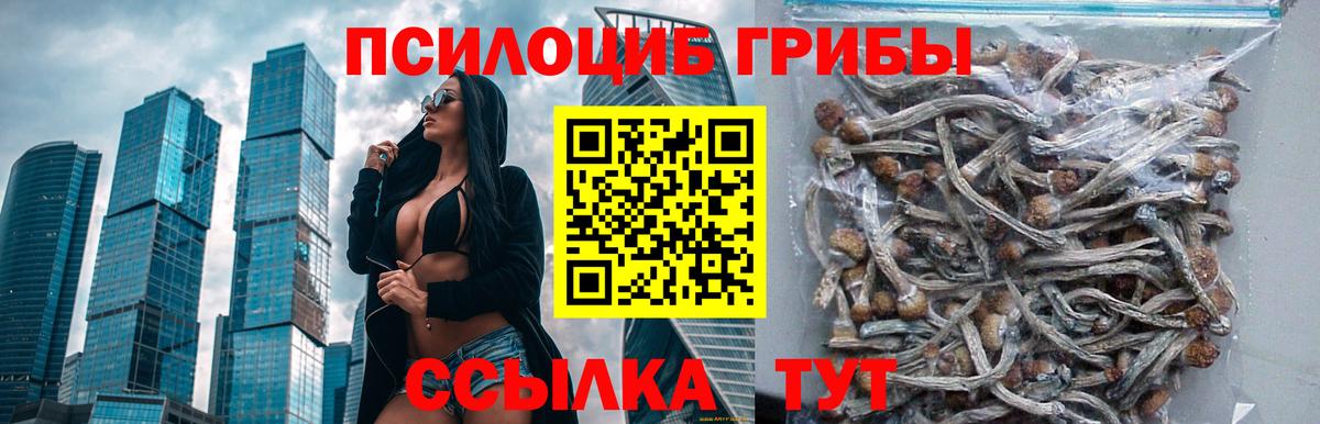 Снежинск  Галлюциногенные грибы Magic Shrooms  Вход с VPN 